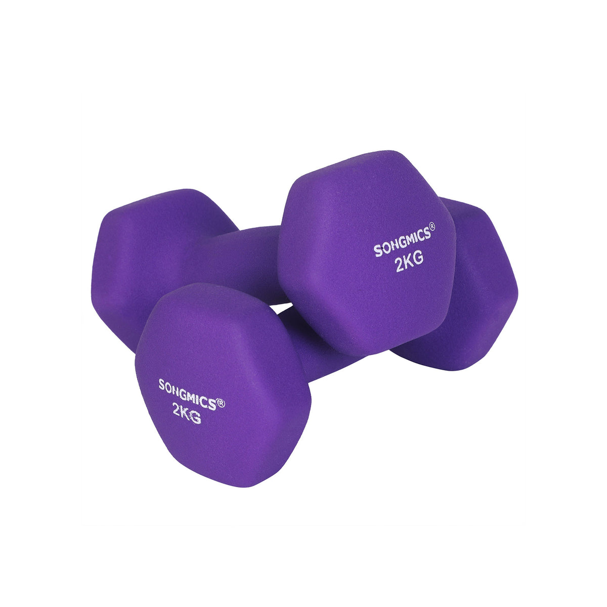 Haltères Réglables SONGMICS 20 Kg - Kit Musculation Acier Avec Poids, Maison