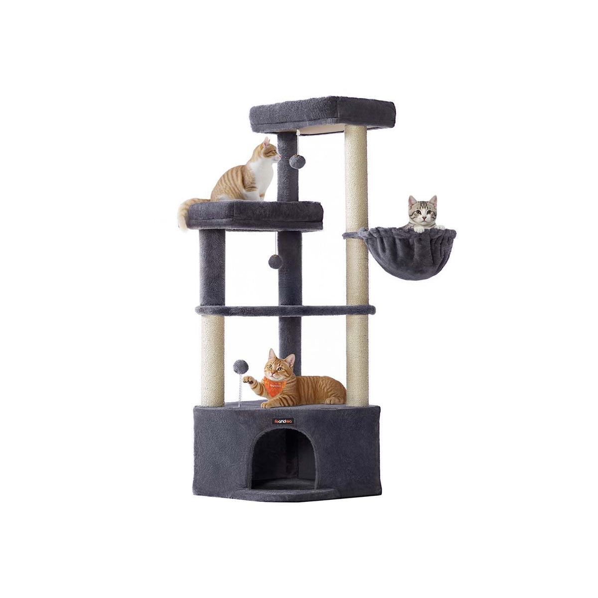 PCT009G02