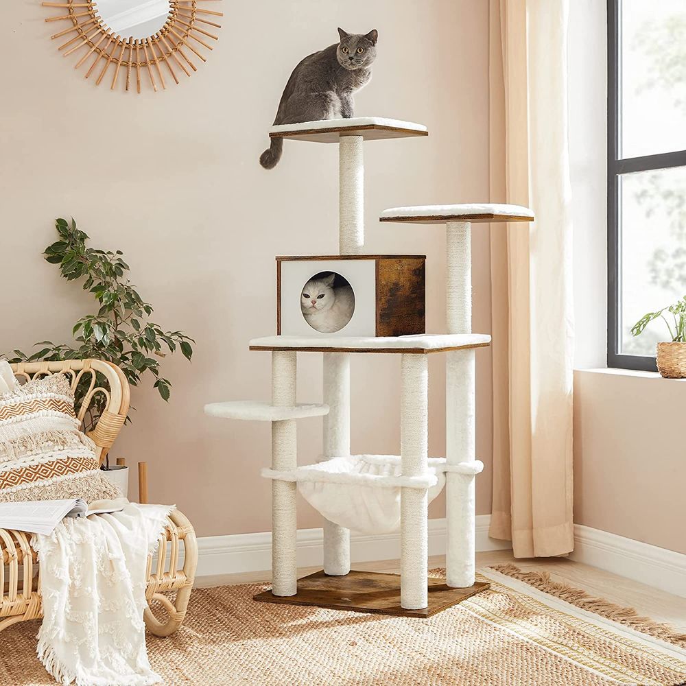 66 idées de Escalade mur pour chat.  mobilier pour chat, chat, trucs de  chat